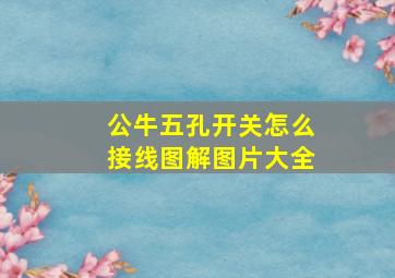 公牛五孔开关怎么接线图解图片大全