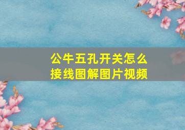 公牛五孔开关怎么接线图解图片视频