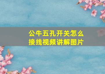 公牛五孔开关怎么接线视频讲解图片