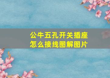 公牛五孔开关插座怎么接线图解图片