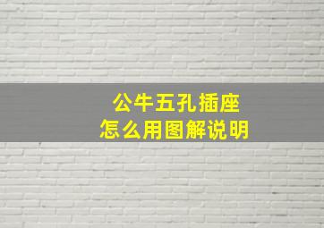 公牛五孔插座怎么用图解说明