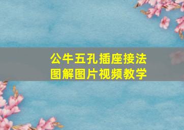 公牛五孔插座接法图解图片视频教学