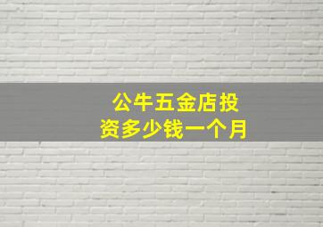 公牛五金店投资多少钱一个月