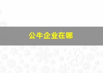 公牛企业在哪