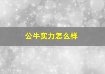 公牛实力怎么样