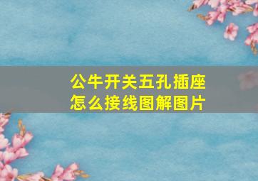 公牛开关五孔插座怎么接线图解图片