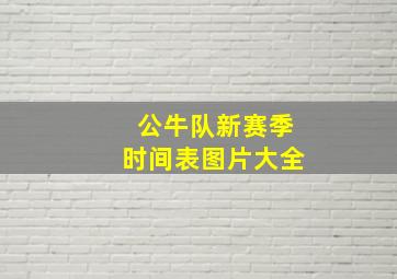 公牛队新赛季时间表图片大全