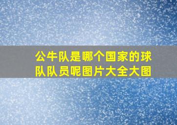 公牛队是哪个国家的球队队员呢图片大全大图