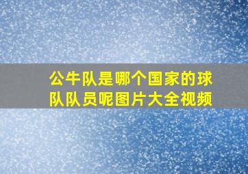 公牛队是哪个国家的球队队员呢图片大全视频