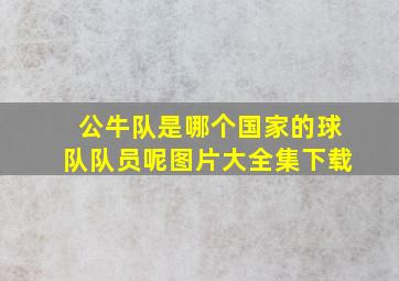 公牛队是哪个国家的球队队员呢图片大全集下载