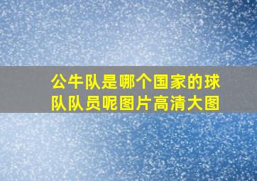 公牛队是哪个国家的球队队员呢图片高清大图