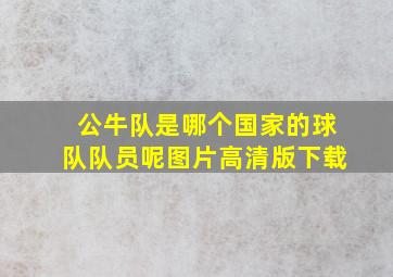 公牛队是哪个国家的球队队员呢图片高清版下载