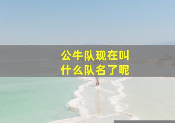 公牛队现在叫什么队名了呢