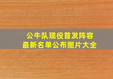 公牛队现役首发阵容最新名单公布图片大全