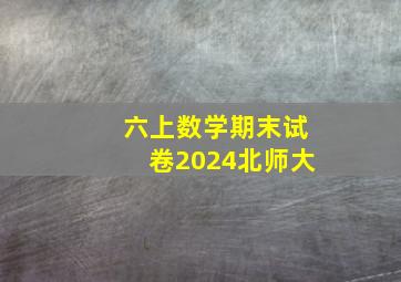 六上数学期末试卷2024北师大