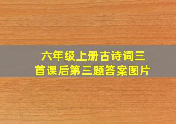 六年级上册古诗词三首课后第三题答案图片