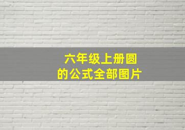 六年级上册圆的公式全部图片