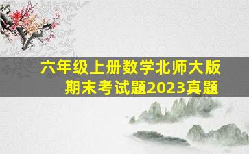 六年级上册数学北师大版期末考试题2023真题