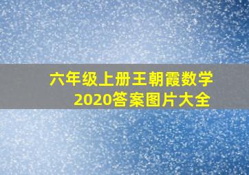 六年级上册王朝霞数学2020答案图片大全