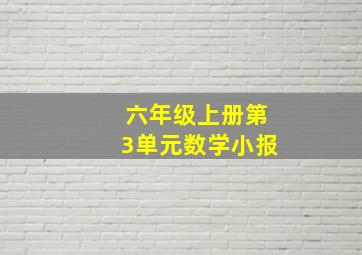 六年级上册第3单元数学小报