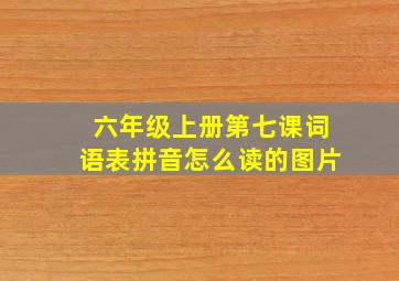 六年级上册第七课词语表拼音怎么读的图片