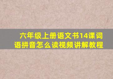 六年级上册语文书14课词语拼音怎么读视频讲解教程