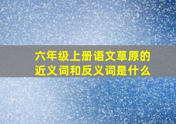 六年级上册语文草原的近义词和反义词是什么