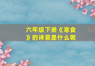 六年级下册《寒食》的诗意是什么呢