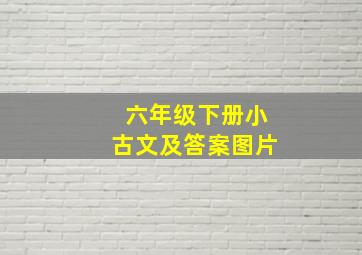 六年级下册小古文及答案图片