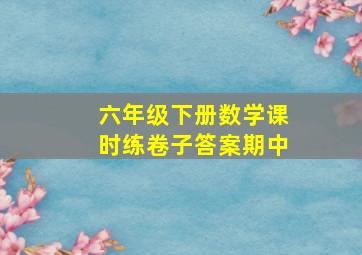 六年级下册数学课时练卷子答案期中