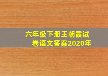 六年级下册王朝霞试卷语文答案2020年