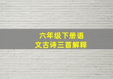 六年级下册语文古诗三首解释