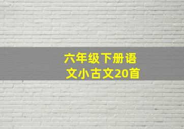 六年级下册语文小古文20首