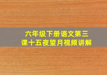 六年级下册语文第三课十五夜望月视频讲解