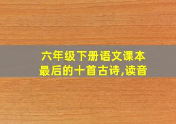 六年级下册语文课本最后的十首古诗,读音