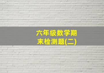 六年级数学期末检测题(二)