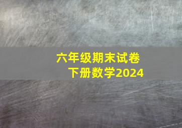 六年级期末试卷下册数学2024