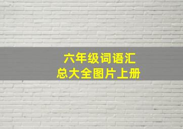 六年级词语汇总大全图片上册