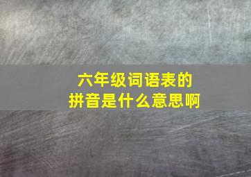 六年级词语表的拼音是什么意思啊