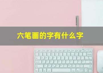 六笔画的字有什么字