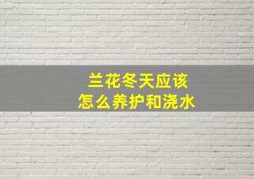 兰花冬天应该怎么养护和浇水