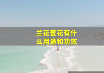 兰花套花有什么用途和功效