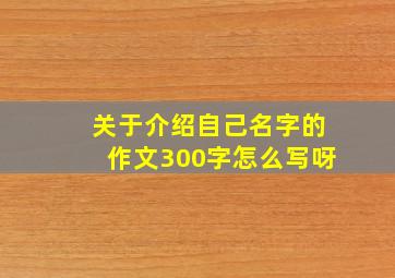 关于介绍自己名字的作文300字怎么写呀