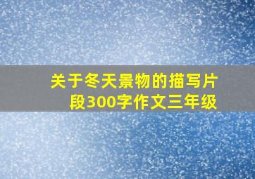 关于冬天景物的描写片段300字作文三年级