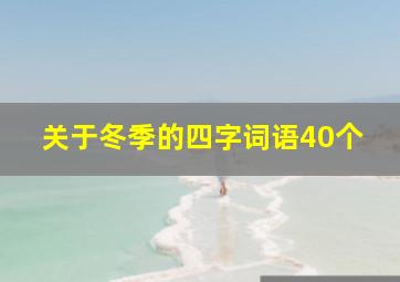 关于冬季的四字词语40个