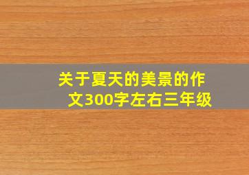 关于夏天的美景的作文300字左右三年级