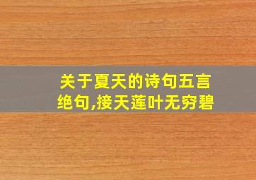 关于夏天的诗句五言绝句,接天莲叶无穷碧