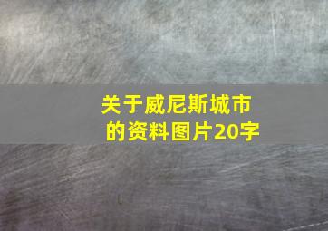 关于威尼斯城市的资料图片20字