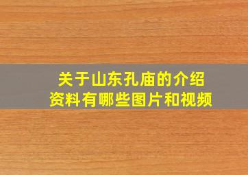 关于山东孔庙的介绍资料有哪些图片和视频