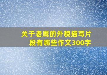 关于老鹰的外貌描写片段有哪些作文300字